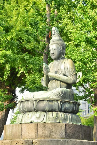 DSC_3506 (Large).JPG